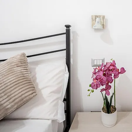 Domus Lodi Urban I Homestay *