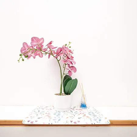 Homestay Domus Lodi Urban I Rome