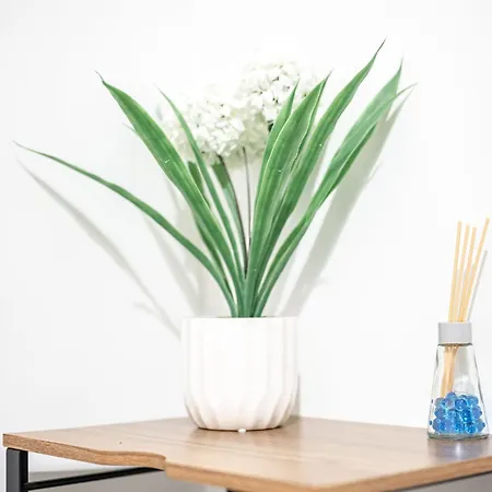 Homestay Domus Lodi Urban I