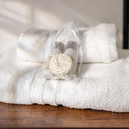 Domus Lodi Urban I Homestay *