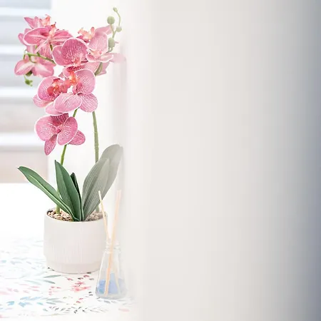 Homestay Domus Lodi Urban I *