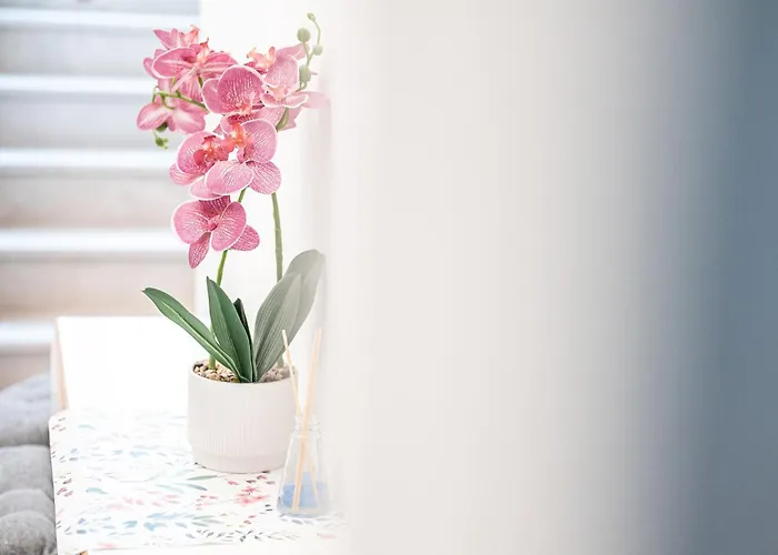 Alloggio in famiglia Domus Lodi Urban I *